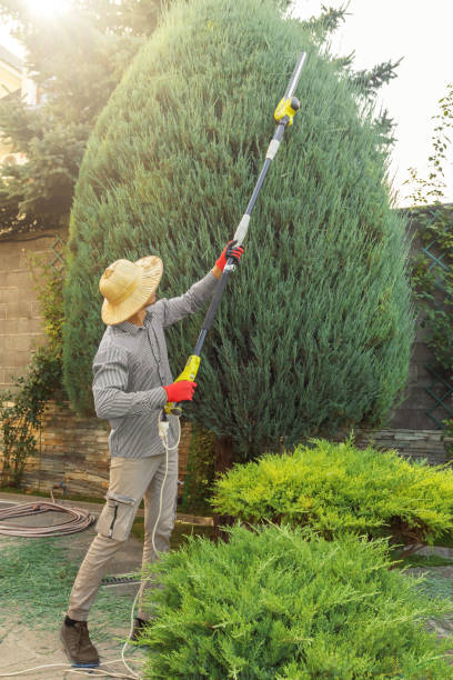 Lawn Watering Services in Millen, GA